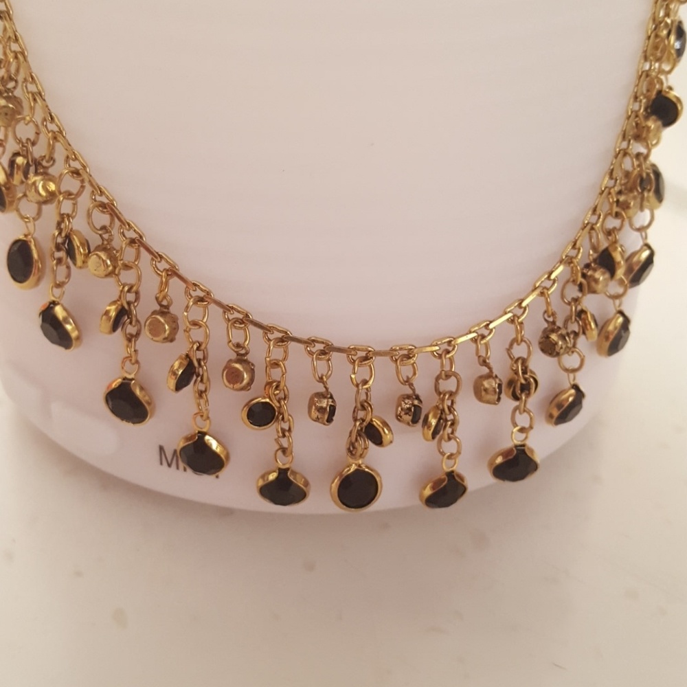 Bijoux Terner NWT Fringe necklace and earring set